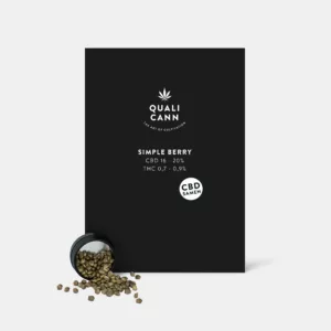 Verschüttete QualiCann Simple Berry CBD-Samen neben ihrer eleganten schwarzen Verpackung mit klaren Produktinformationen über den hohen CBD-Gehalt und den niedrigen THC-Wert, ideal für den nachhaltigen Eigenanbau.