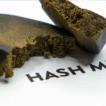 Detailaufnahme von gebrochenem CBD-Haschisch mit krümeliger, harziger Struktur auf weißem Untergrund mit dem Schriftzug ‚HASH‘.