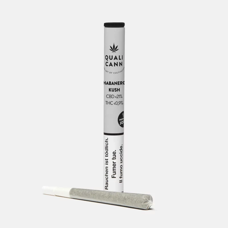 Das Bild zeigt einen CBD-Prerolled Joint der Sorte Habanero Kush von Qualicann, zusammen mit der weißen Verpackung.