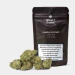 Qualicann Lemon Ice Puff CBD-Blüten in eleganter schwarzer Verpackung mit frischer CBD Blüte im Vordergrund