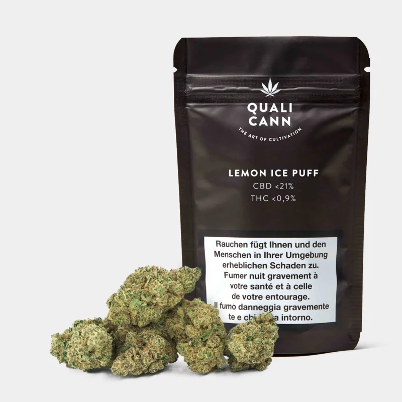 Qualicann Lemon Ice Puff CBD-Blüten in eleganter schwarzer Verpackung mit frischer CBD Blüte im Vordergrund