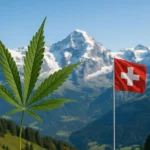 Cannabisblatt im Vordergrund mit Schweizer Alpen und Schweizer Flagge im Hintergrund &ndash; Symbolbild f&uuml;r Cannabis in der Schweiz.