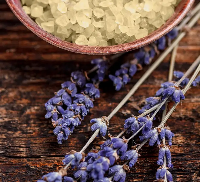 Nahaufnahme von Badesalz und getrocknetem Lavendel auf Holzuntergrund – Sinnbild für natürliche Inhaltsstoffe, Entspannung und aromatische Pflege mit CBD-Badesalz.