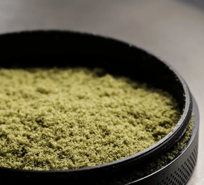 Nahaufnahme von feinem, grünlichem CBD-Kief in einem Grinder-Behälter. Das Pulver besteht aus den gesiebten Harzdrüsen der Hanfpflanze.