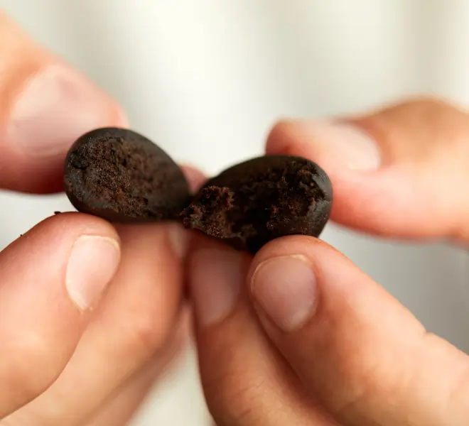 Eine Person ein dunkles, rundliches Stück CBD-Hasch in den Fingern, das in der Mitte aufgebrochen wurde. Man erkennt die weiche, fast cremige Konsistenz im Inneren.