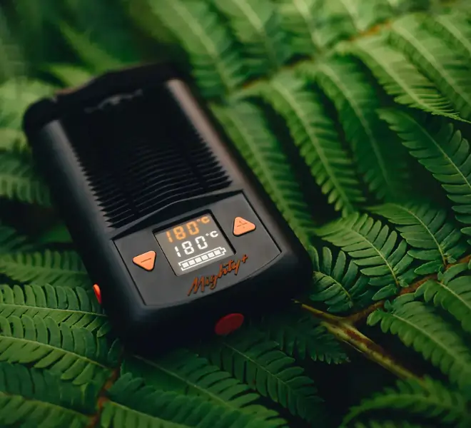 Schwarzer Mighty+ Vaporizer von Storz & Bickel mit digitalem Display, das 180°C anzeigt, auf grünen Farnblättern liegend.
