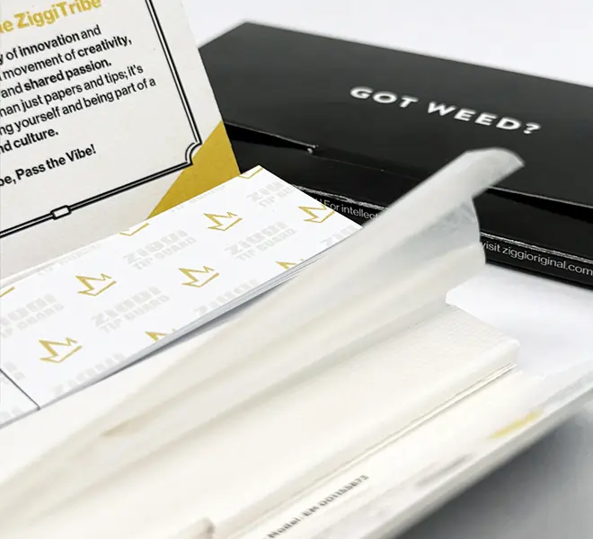 Offenes Ziggi x Qualicann Drehpapier-Set mit Papierblättern und Filtertips, ideal für ein sauberes Dreherlebnis mit CBD-Blüten oder Tabakersatz.