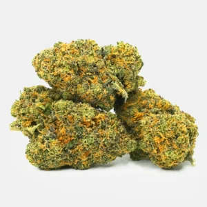 Mehrere kompakte Cannabis Blüten in hellgrünen Farbtönen mit orangefarbenen Härchen auf hellem Hintergrund