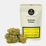 Mehrere kompakte Cannabis CBD Blüten in grün-orangefarbenen Tönen vor einer Qualicann Verpackung auf hellem Hintergrund
