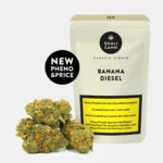 Mehrere grün-orangefarbene Cannabis CBD Blüten vor Verpackung mit schwarzem Kreis und Aufschrift ‚New Pheno & Price‘ auf hellem Hintergrund