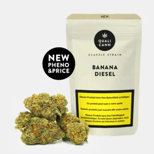 Mehrere grün-orangefarbene Cannabis CBD Blüten vor Verpackung mit schwarzem Kreis und Aufschrift ‚New Pheno & Price‘ auf hellem Hintergrund