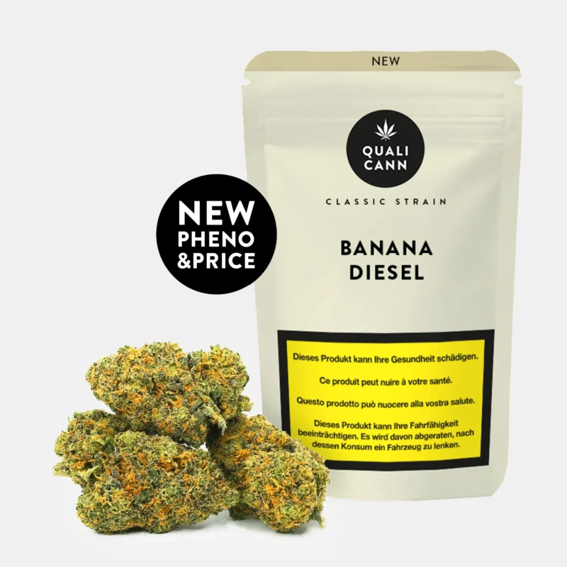 Mehrere grün-orangefarbene Cannabis CBD Blüten vor Verpackung mit schwarzem Kreis und Aufschrift ‚New Pheno & Price‘ auf hellem Hintergrund
