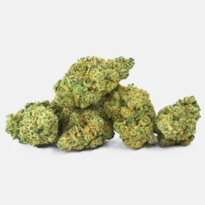 Lemon Ice Puff CBD Blüten in Nahaufnahme