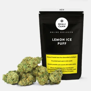 Lemon Ice Puff CBD von Qualicann mit Cannabis Blüte vor schwarzer Verpackung