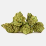 Sapphire Cream CBD Blüten in Nahaufnahme