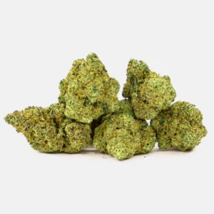 Sapphire Cream CBD Blüten in Nahaufnahme