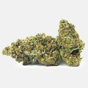 Nahaufnahme von Pine Tar Kush CBD Blüten von Qualicann