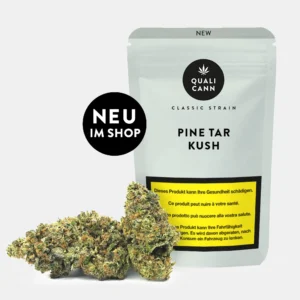 Qualicann Pine Tar Kush CBD Blüten neu im Shop mit Cannabis Buds vor hellgrüner Verpackung