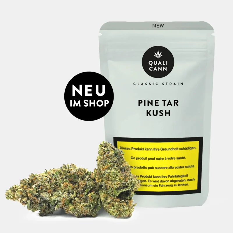 Qualicann Pine Tar Kush CBD Blüten neu im Shop mit Cannabis Buds vor hellgrüner Verpackung