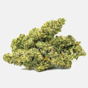 Nahaufnahme von Sweet Star CBD Blüten