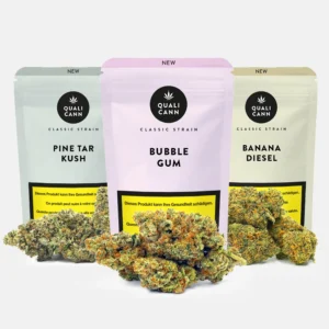 Drei Verpackungen mit den Aufschriften ‚Pine Tar Kush‘, ‚Bubble Gum‘ und ‚Banana Diesel‘ vor mehreren hellgrünen Cannabisblüten mit orangefarbenen Härchen