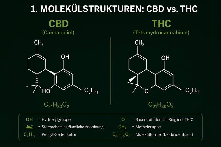 Vergleich der Molek&uuml;lstrukturen von CBD (Cannabidiol) und THC (Tetrahydrocannabinol). Die Grafik zeigt die chemischen Strukturformeln und Unterschiede der beiden Cannabinoide.