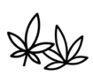 cbd blueten neu